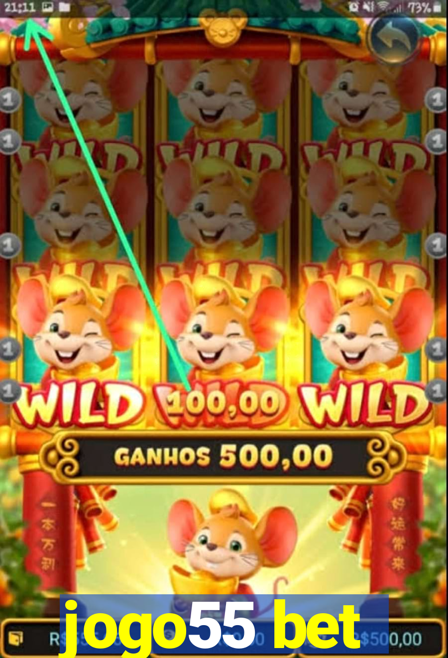 jogo55 bet